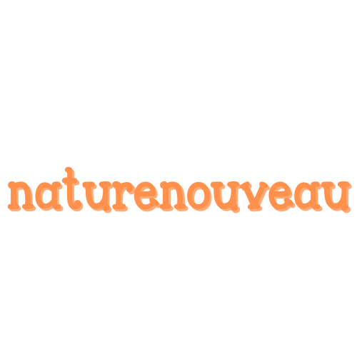 Naturenouveau Store